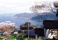餘部埼灯台途中